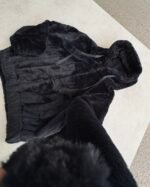 Bomber Teddy Mod. 2575 - Imagen 10